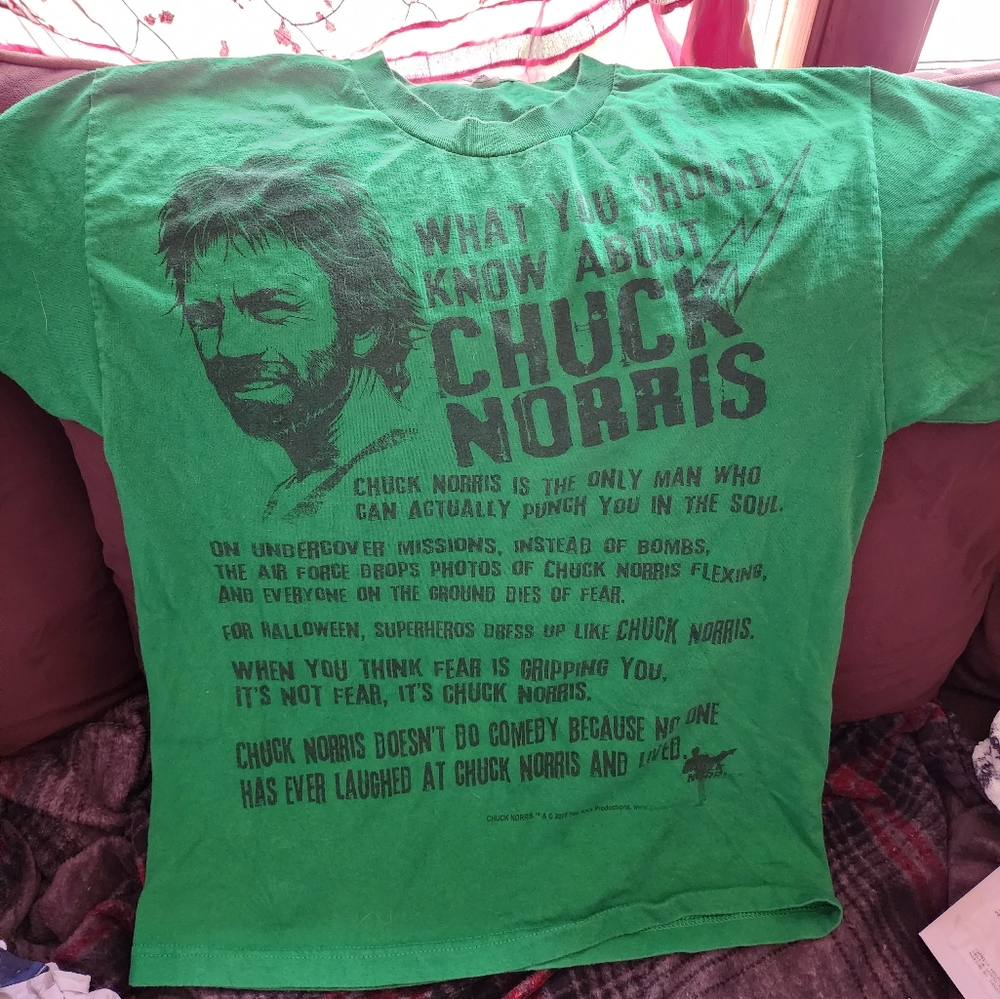 Green Funny Chuck Norris Facts T-shirt Large